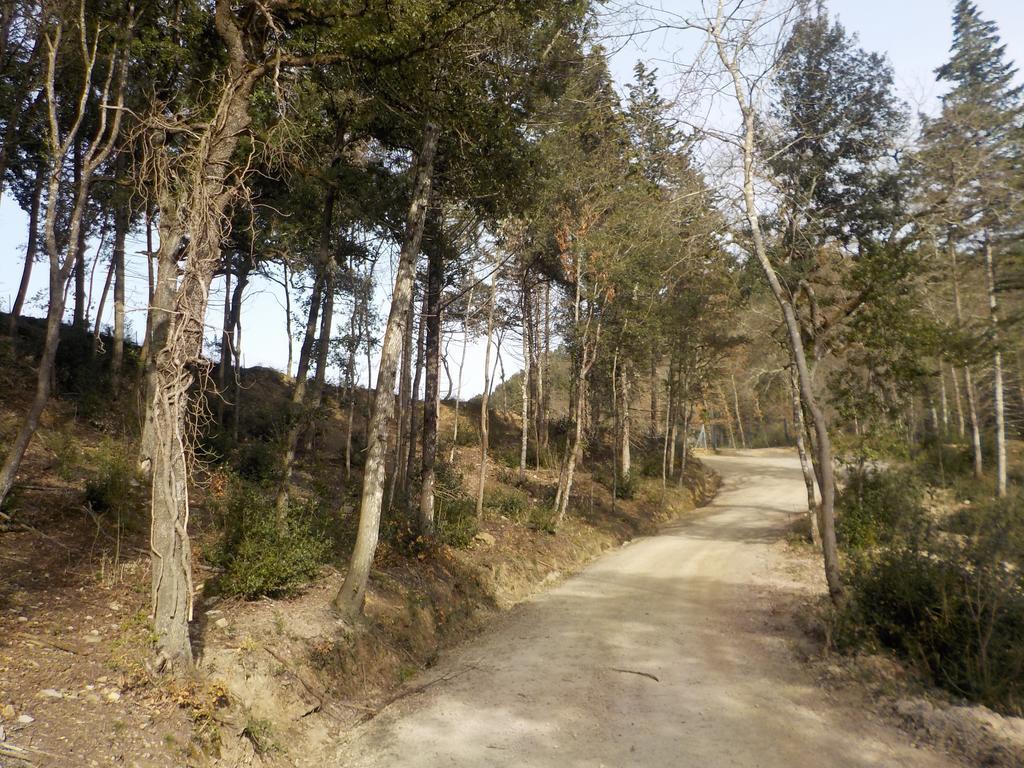 Ormanni Nel Chianti Classico Barberino di Val dʼElsa Εξωτερικό φωτογραφία